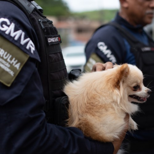 Ação em Volta Redonda interrompe venda ilegal de animais no Siderópolis
